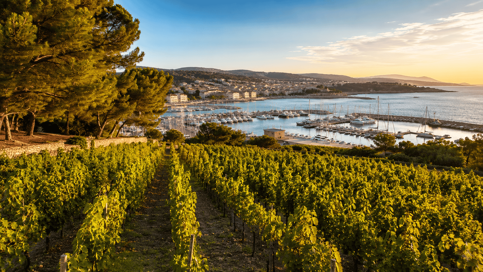 Hero bandol — RM Luxury Transport